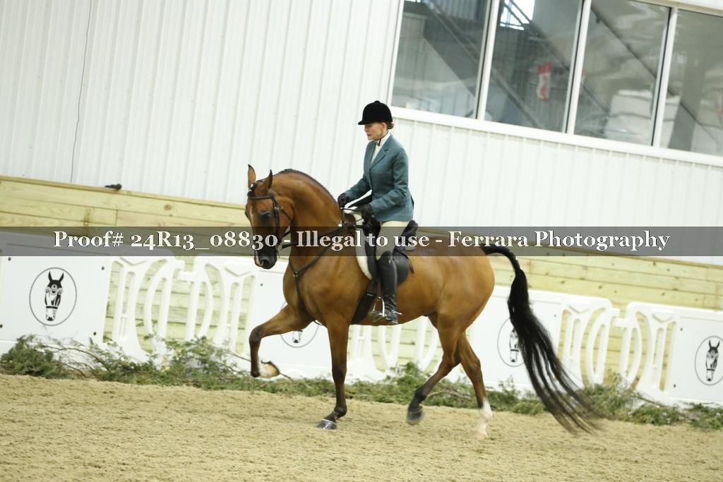 Proof 24R13_08830