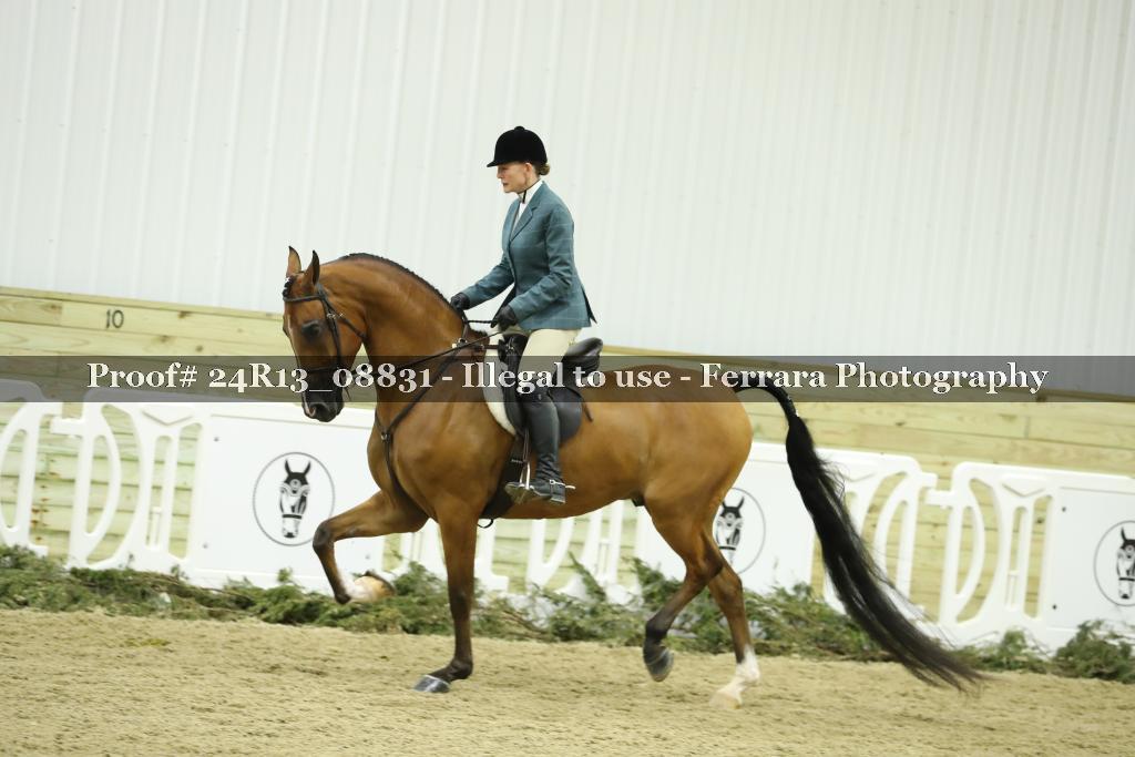Proof 24R13_08831