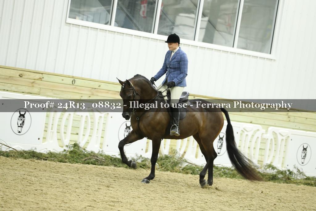 Proof 24R13_08832
