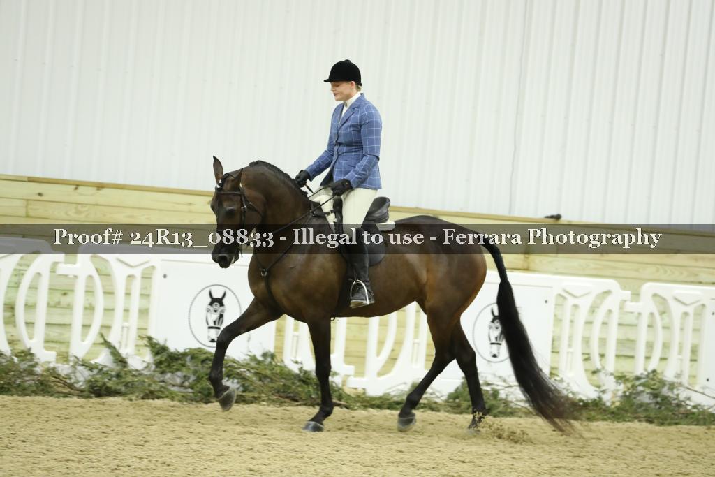 Proof 24R13_08833