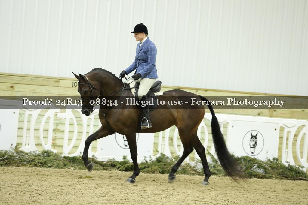 Proof 24R13_08834