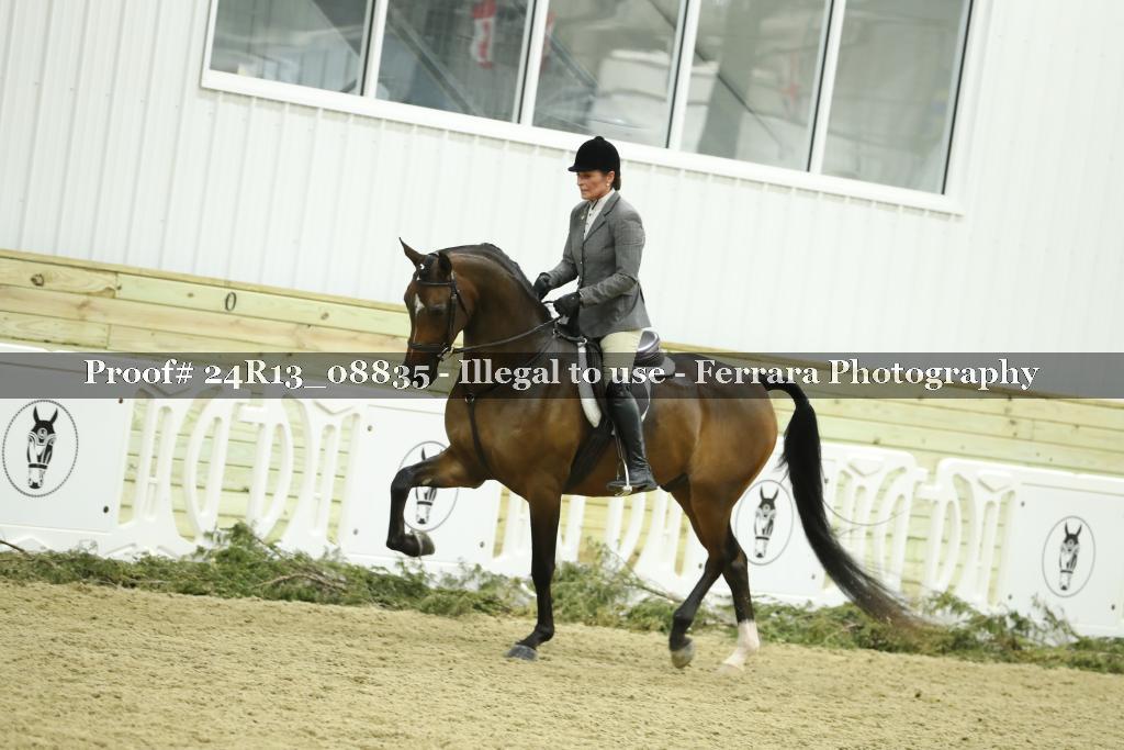 Proof 24R13_08835