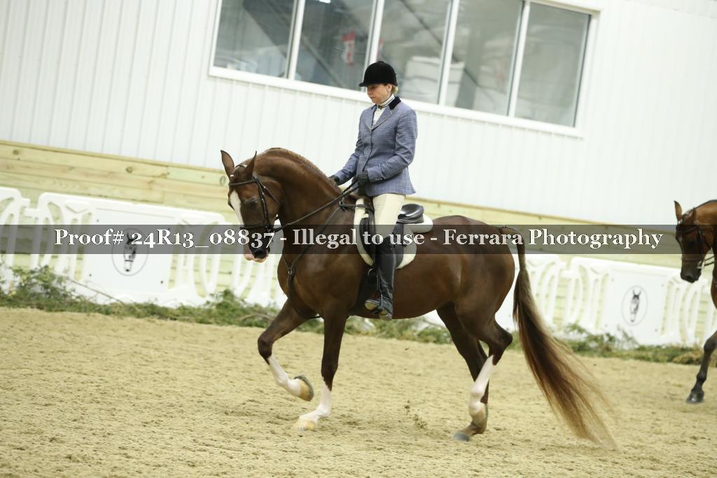 Proof 24R13_08837