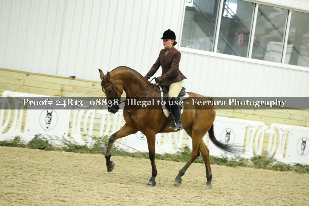 Proof 24R13_08838