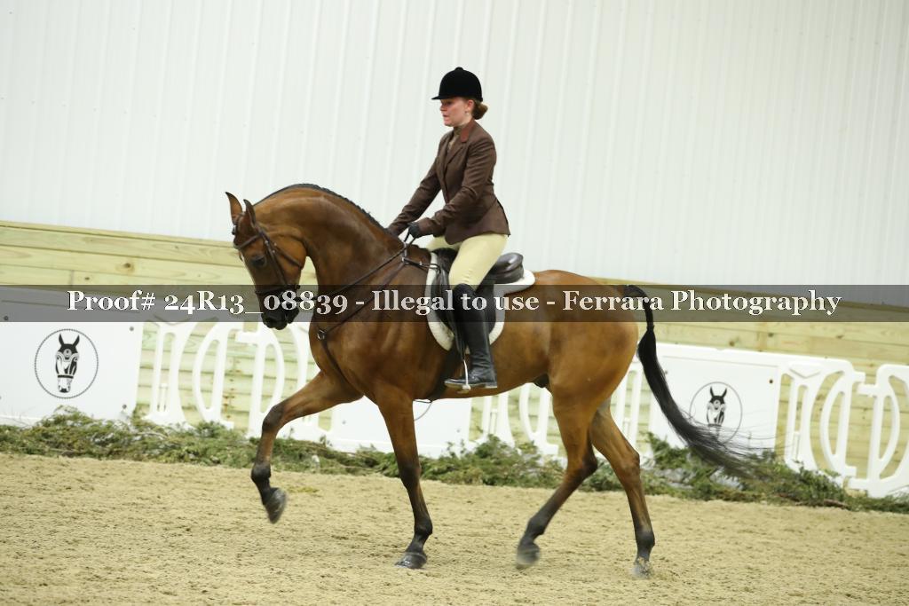 Proof 24R13_08839