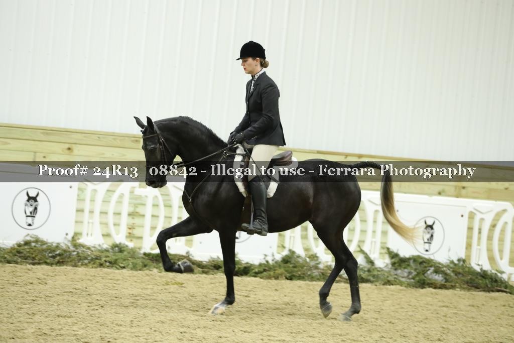 Proof 24R13_08842