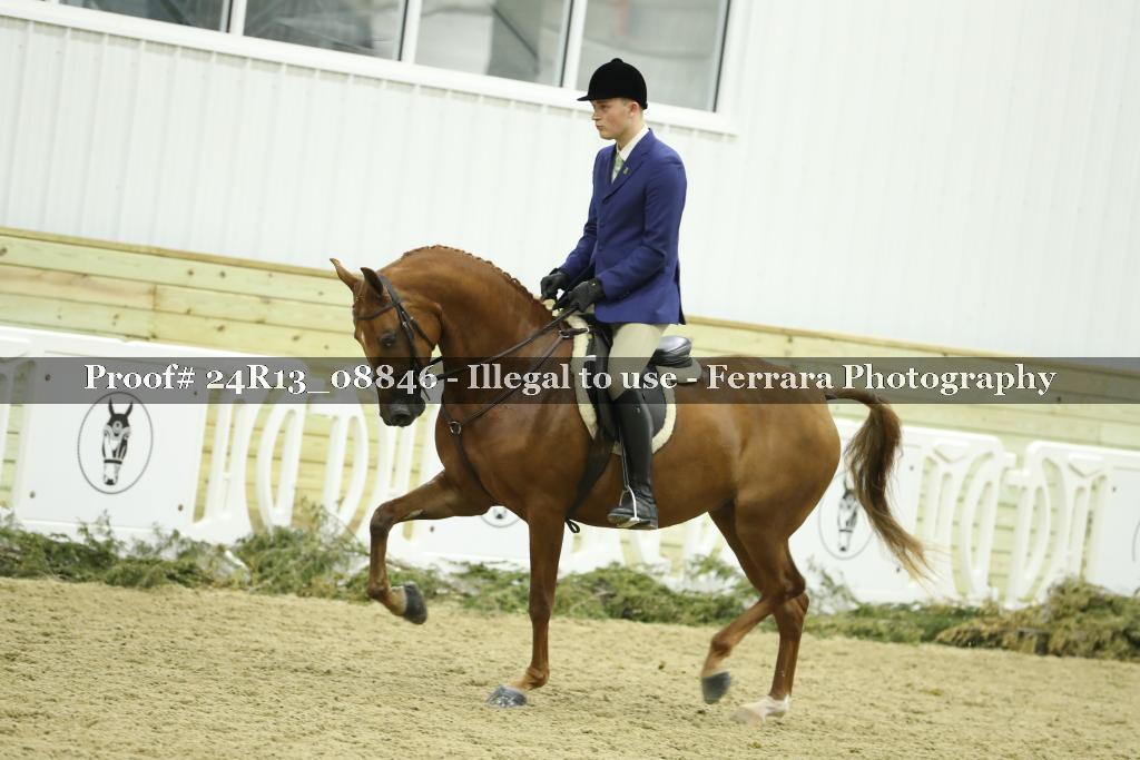 Proof 24R13_08846