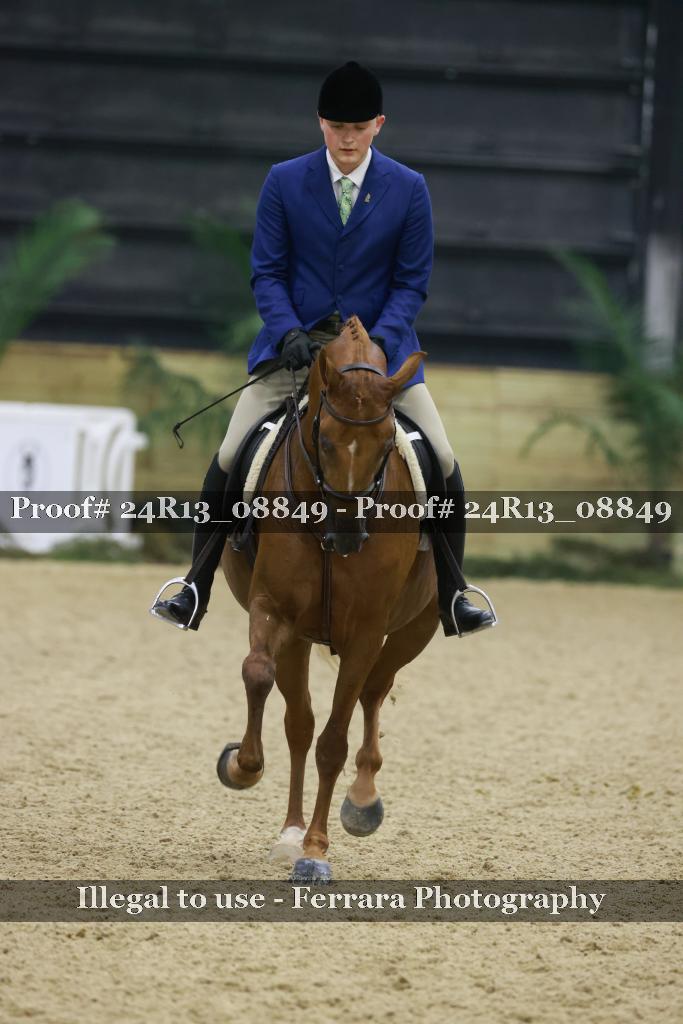 Proof 24R13_08849