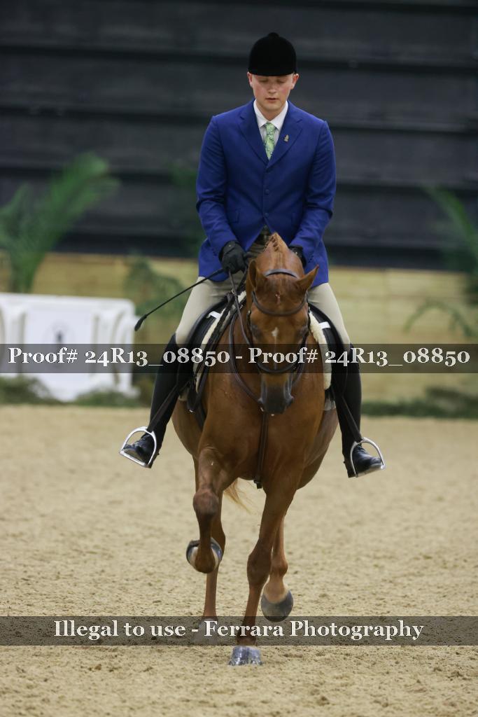 Proof 24R13_08850