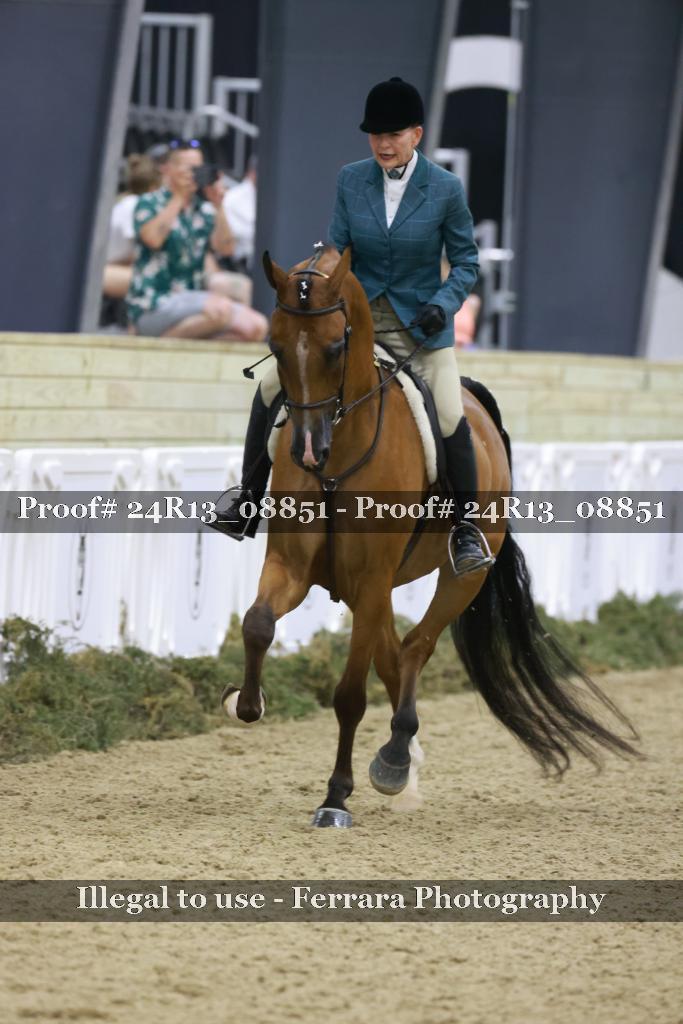 Proof 24R13_08851