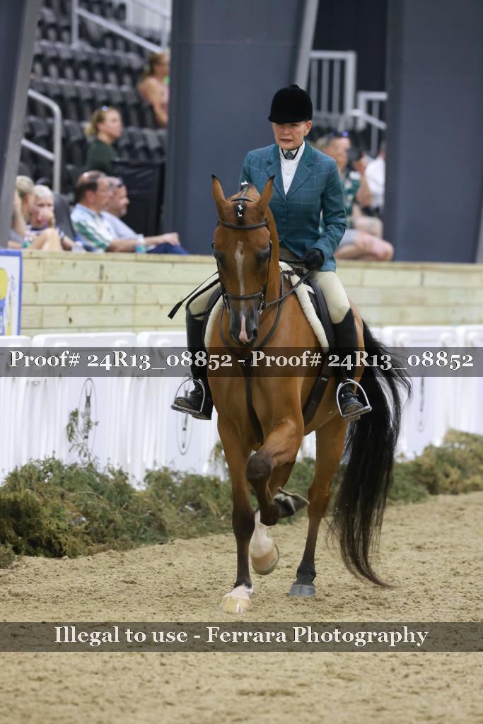 Proof 24R13_08852