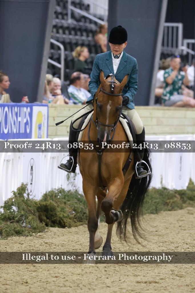 Proof 24R13_08853