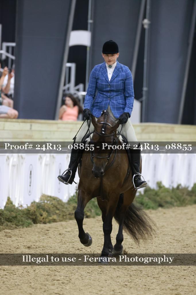Proof 24R13_08855