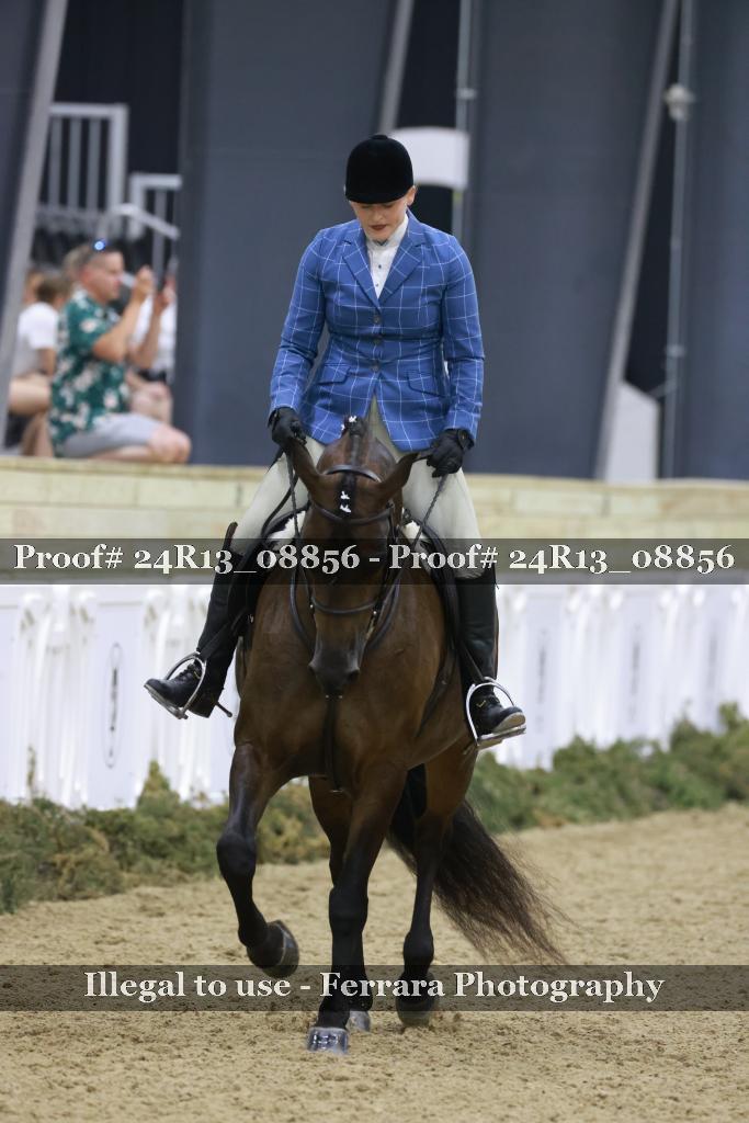 Proof 24R13_08856