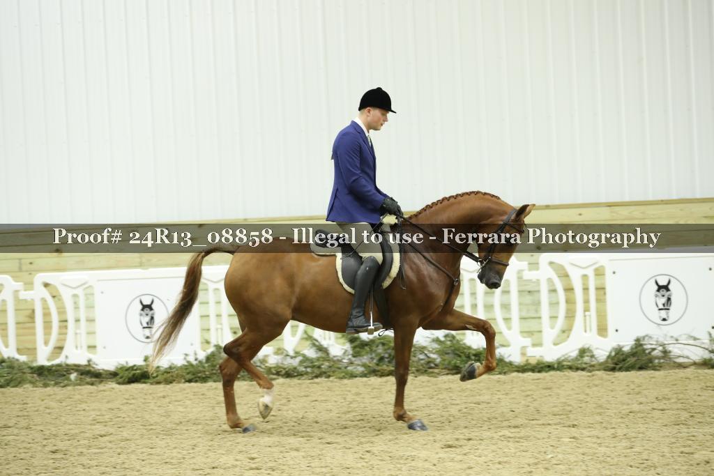 Proof 24R13_08858