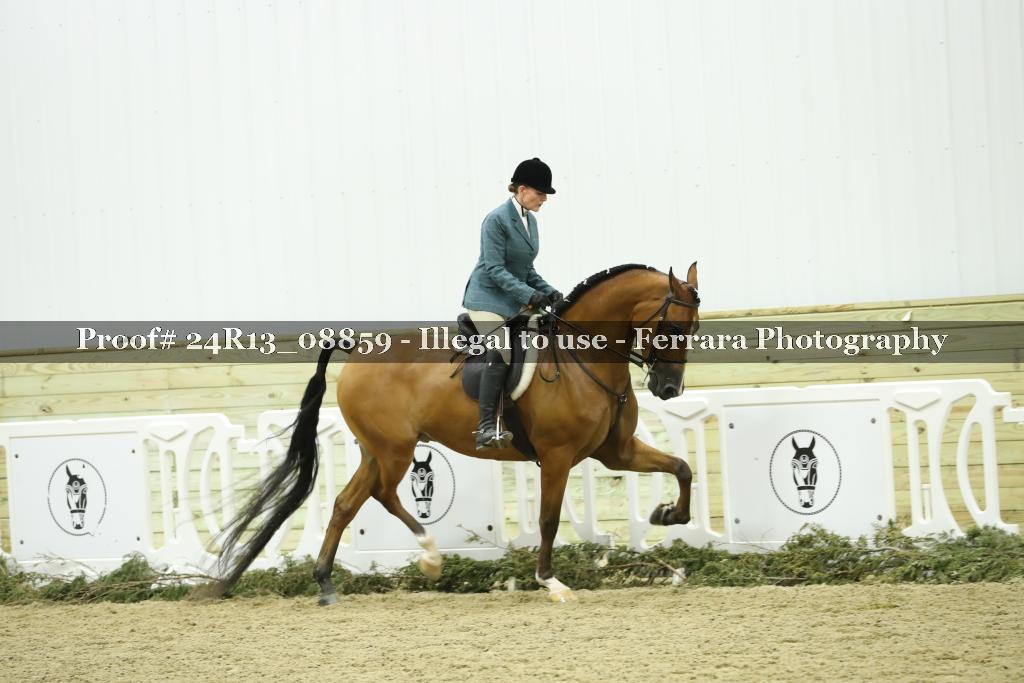 Proof 24R13_08859