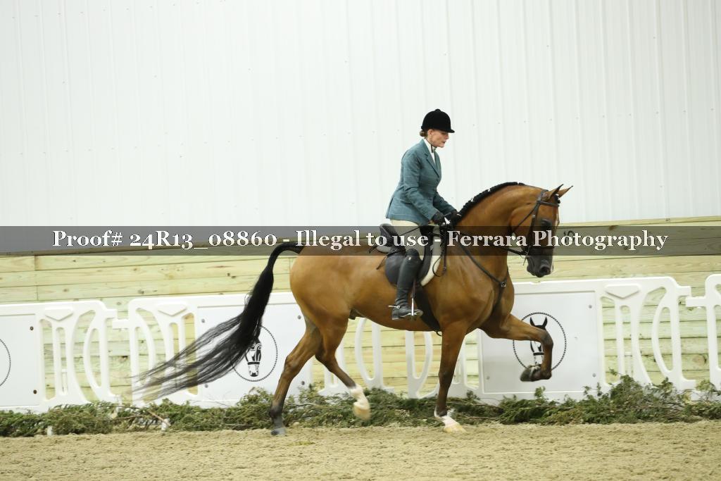 Proof 24R13_08860