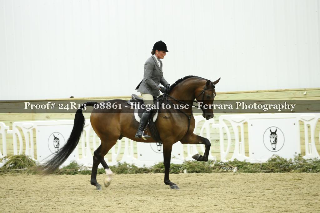 Proof 24R13_08861