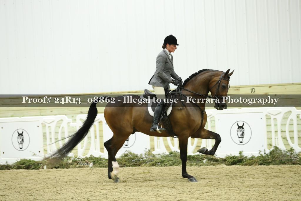 Proof 24R13_08862