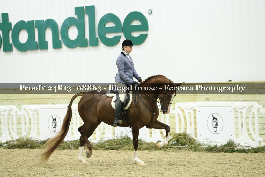 Proof 24R13_08863