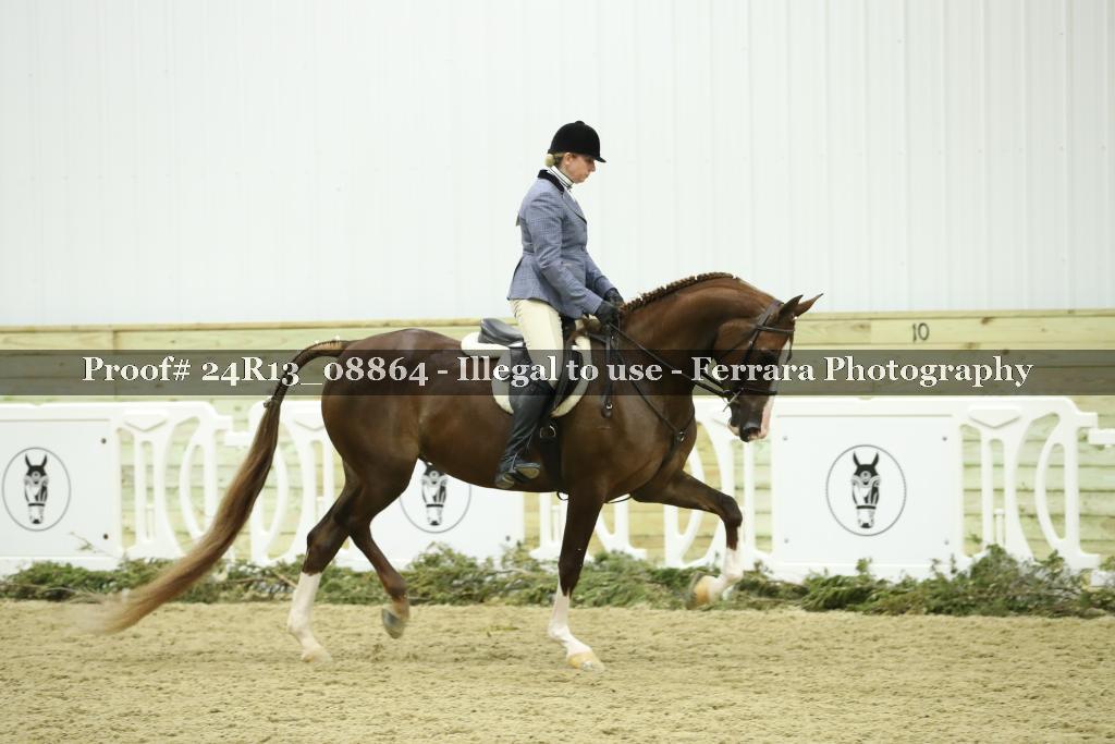 Proof 24R13_08864