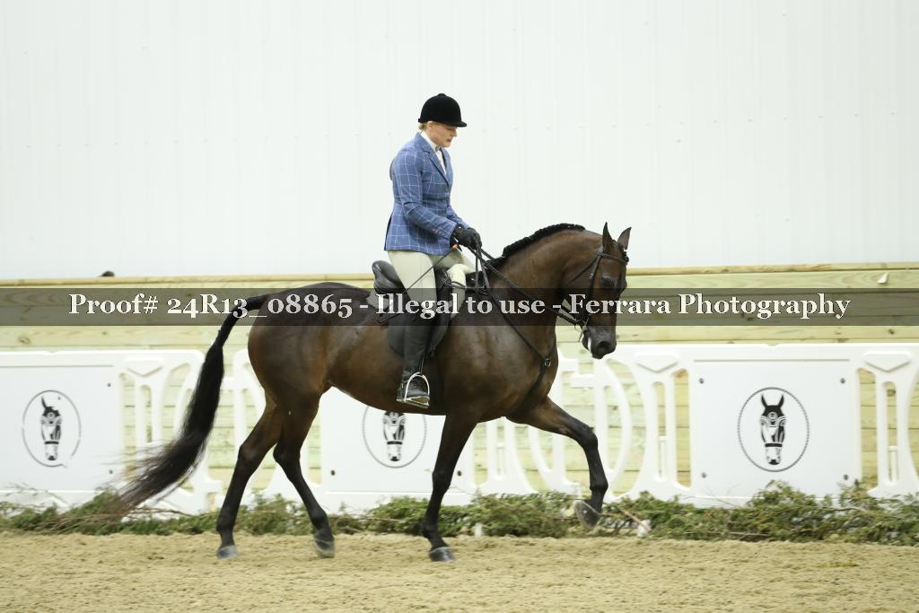 Proof 24R13_08865
