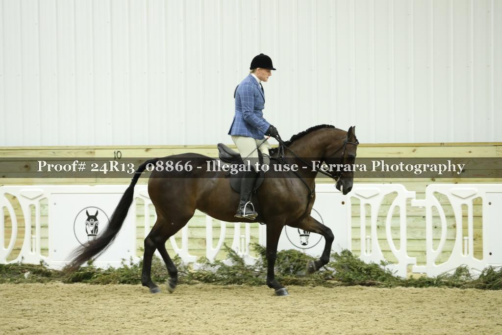 Proof 24R13_08866