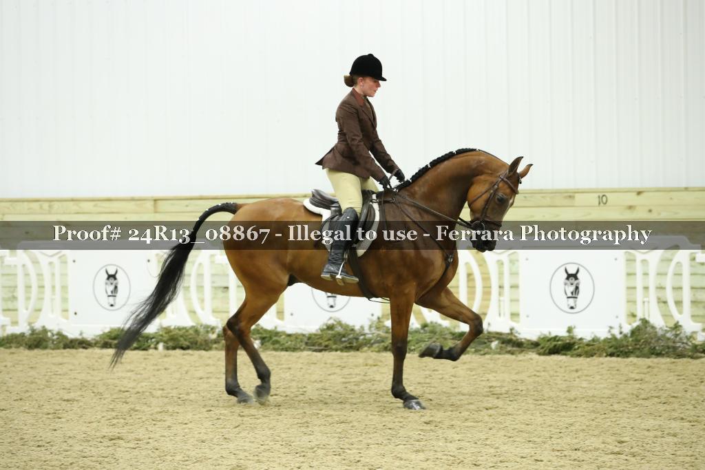 Proof 24R13_08867