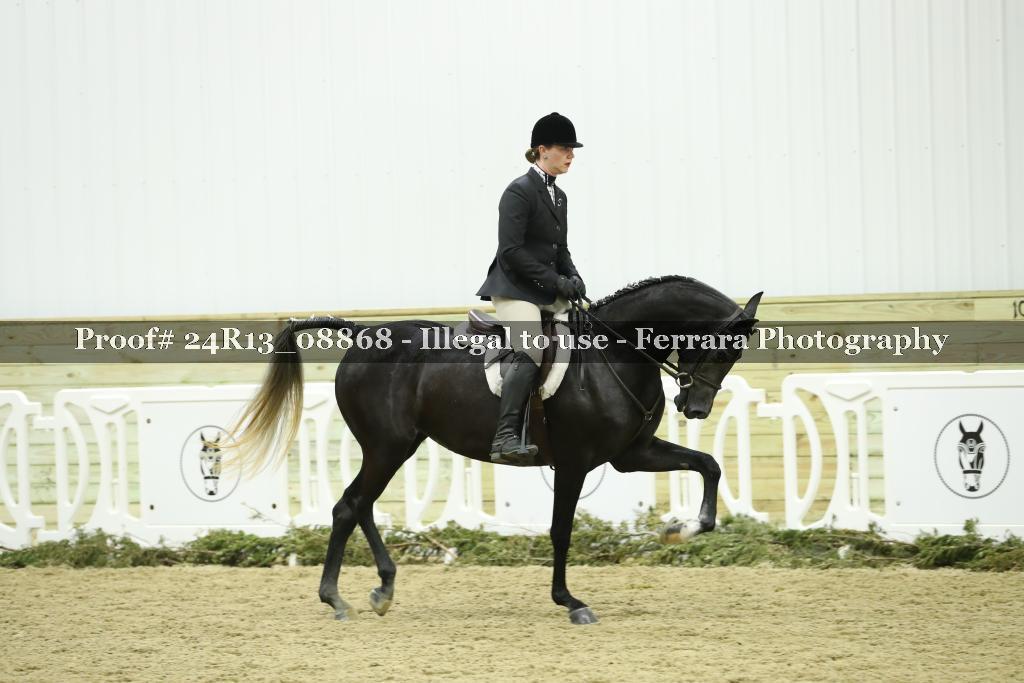 Proof 24R13_08868