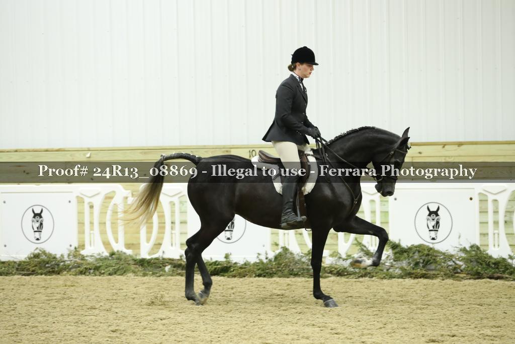 Proof 24R13_08869