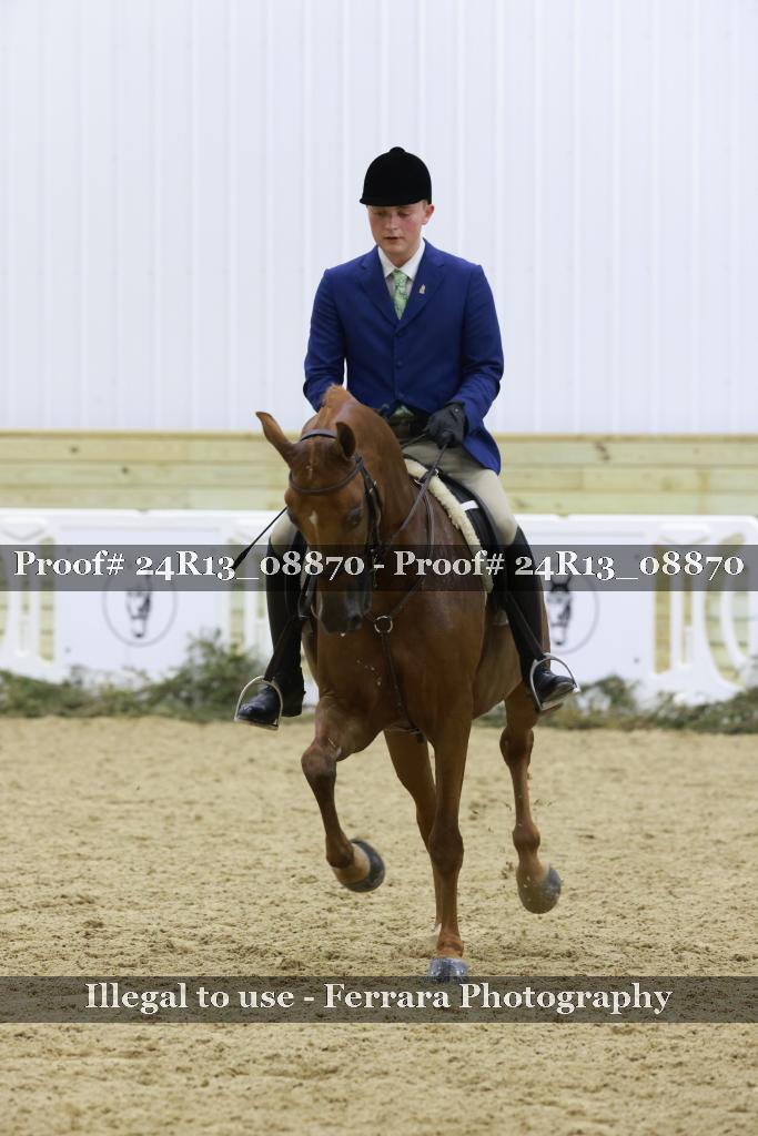Proof 24R13_08870