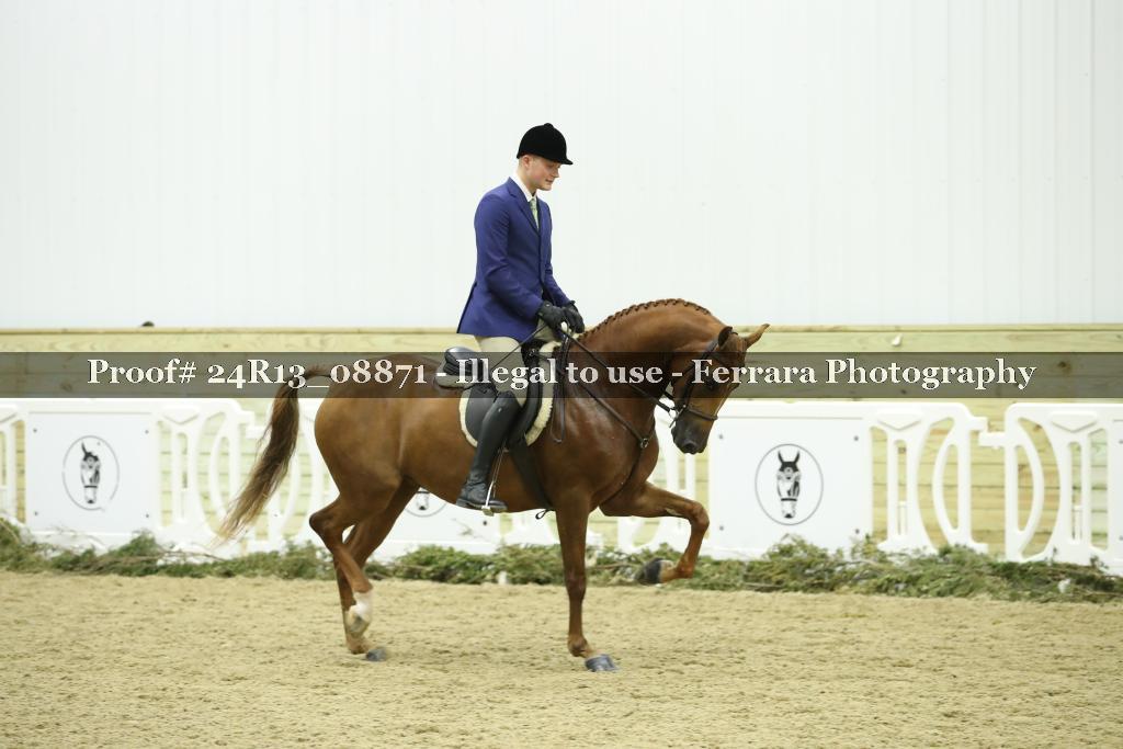 Proof 24R13_08871