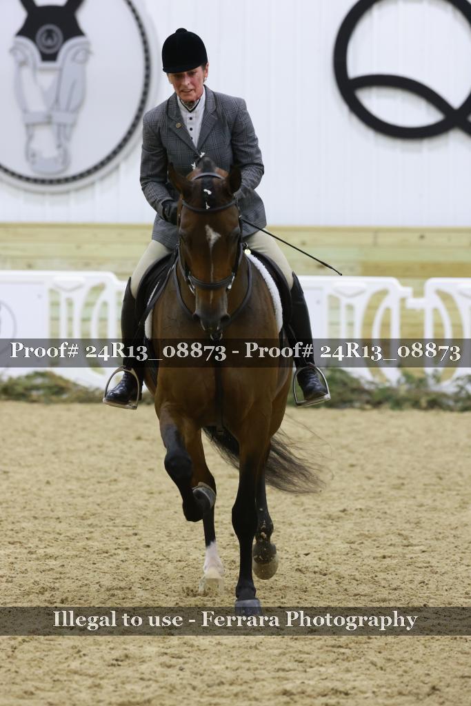 Proof 24R13_08873