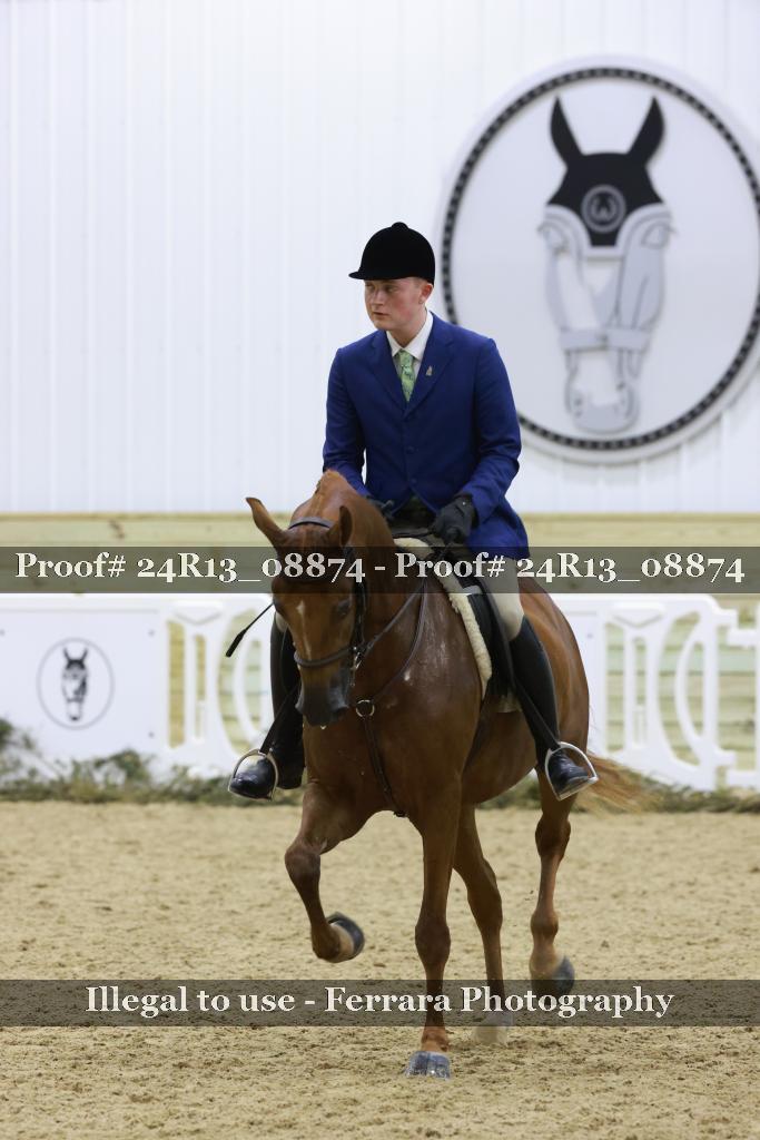 Proof 24R13_08874