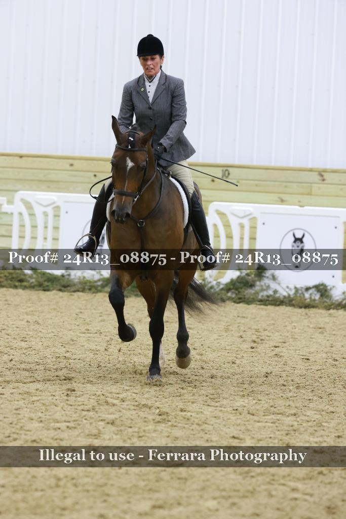 Proof 24R13_08875