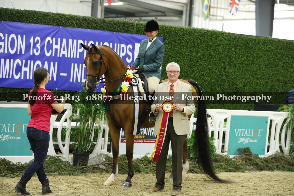 Proof 24R13_08877