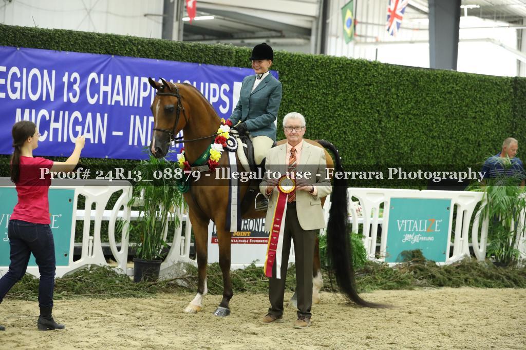 Proof 24R13_08879