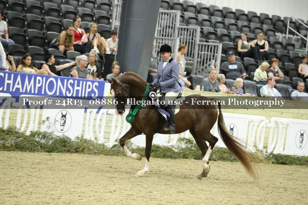 Proof 24R13_08886