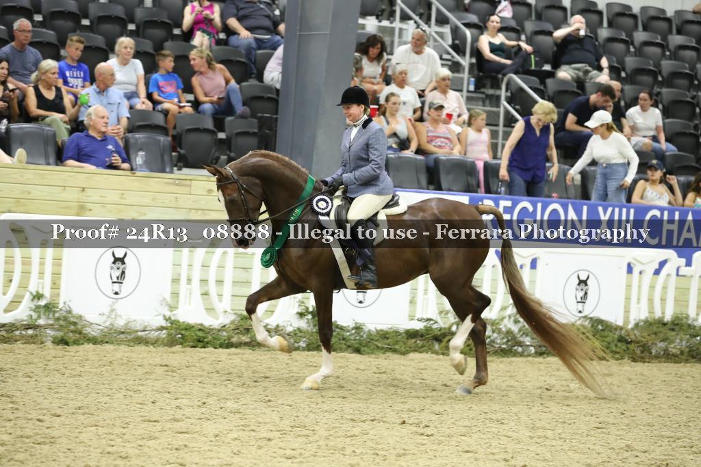 Proof 24R13_08888