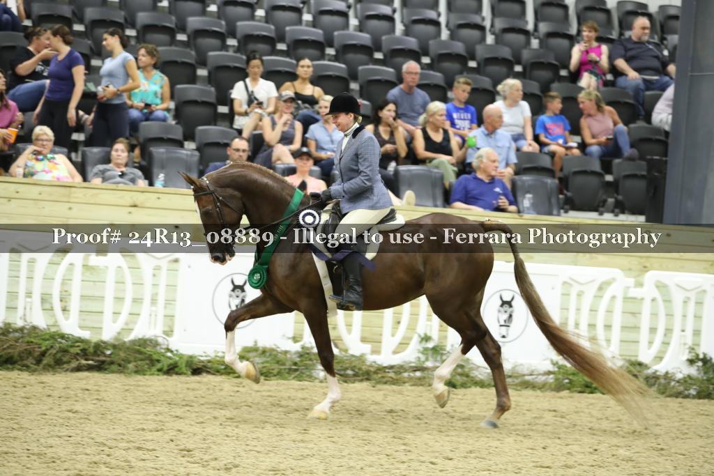 Proof 24R13_08889