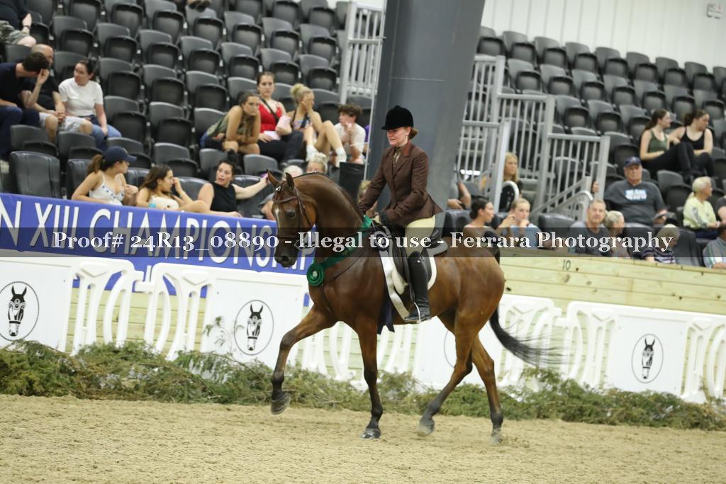 Proof 24R13_08890