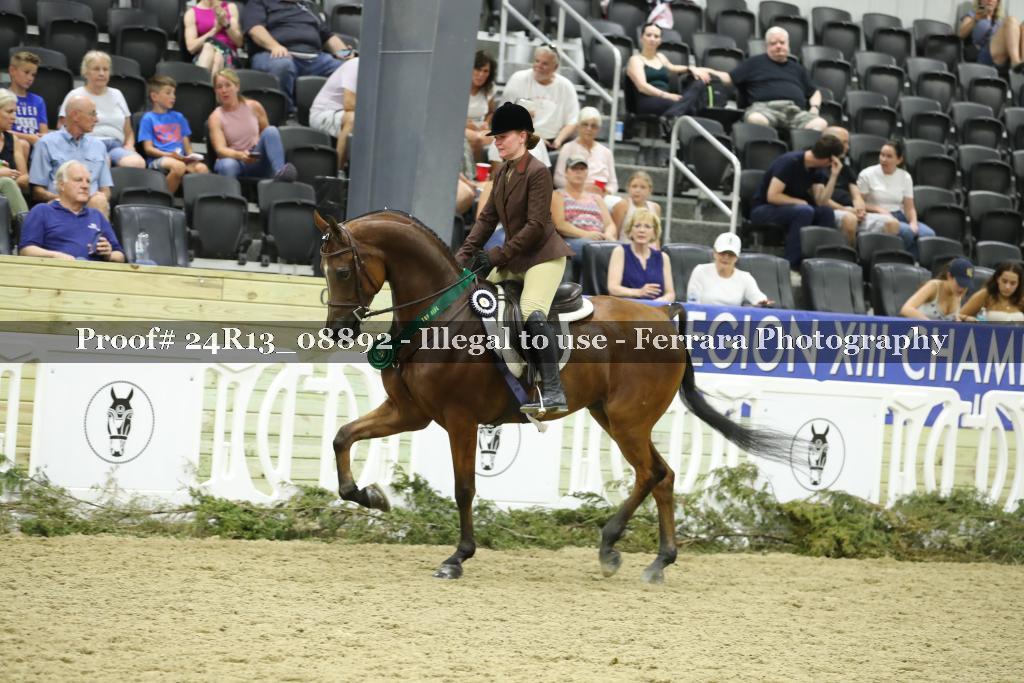 Proof 24R13_08892