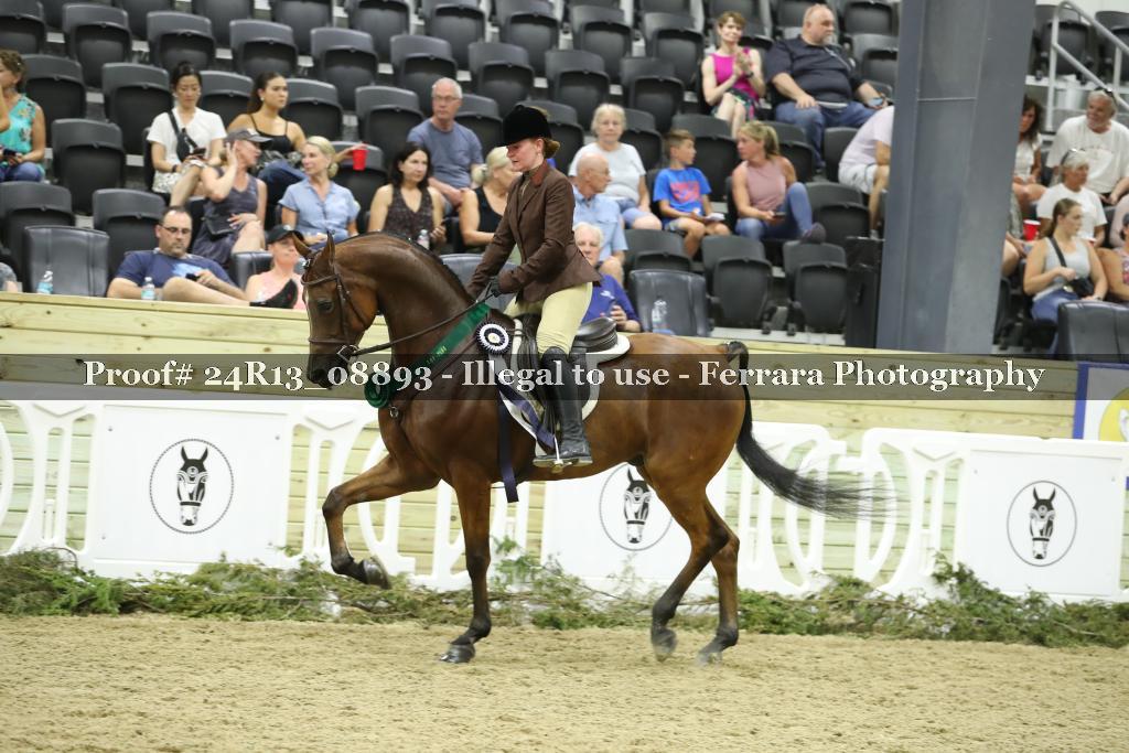 Proof 24R13_08893