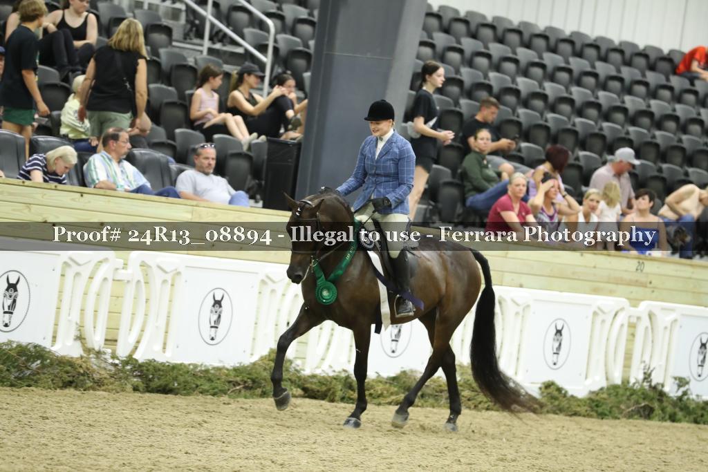 Proof 24R13_08894