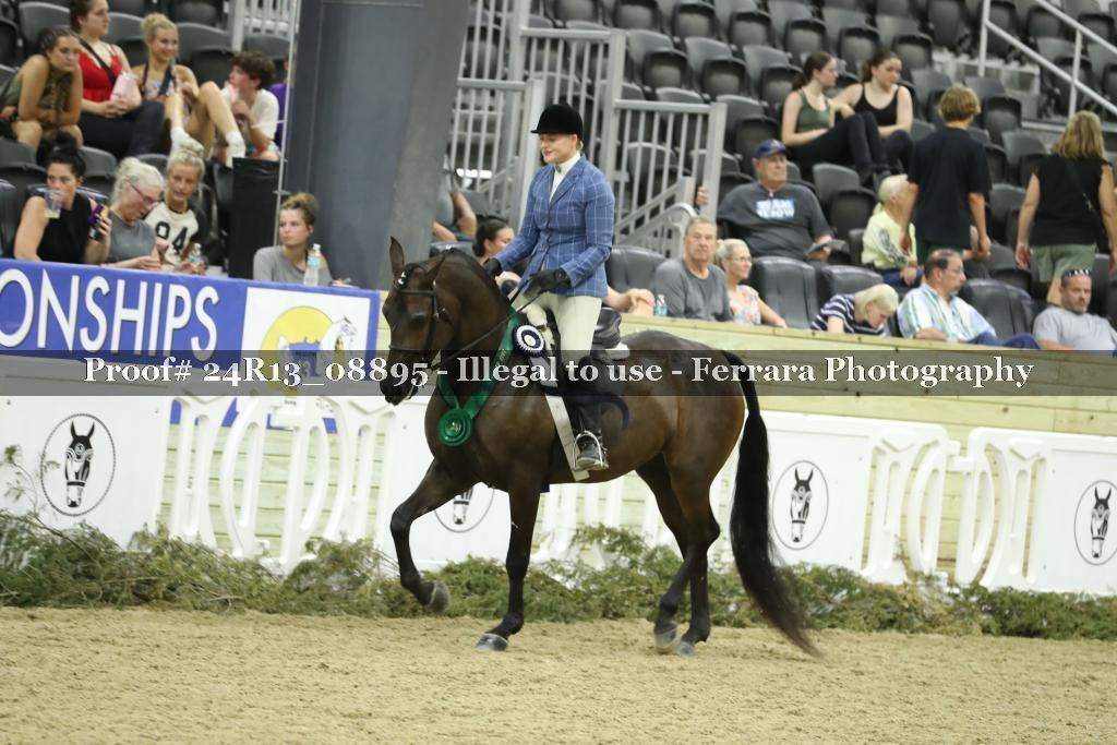 Proof 24R13_08895