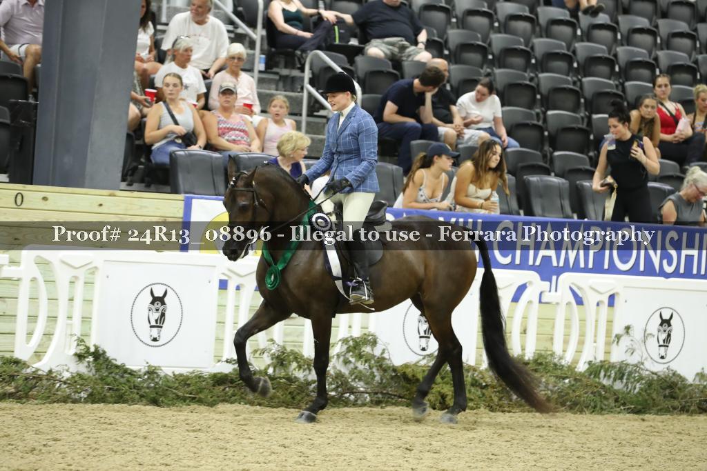 Proof 24R13_08896