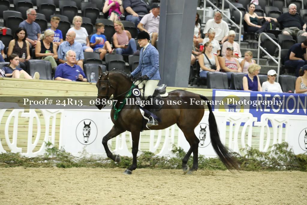 Proof 24R13_08897