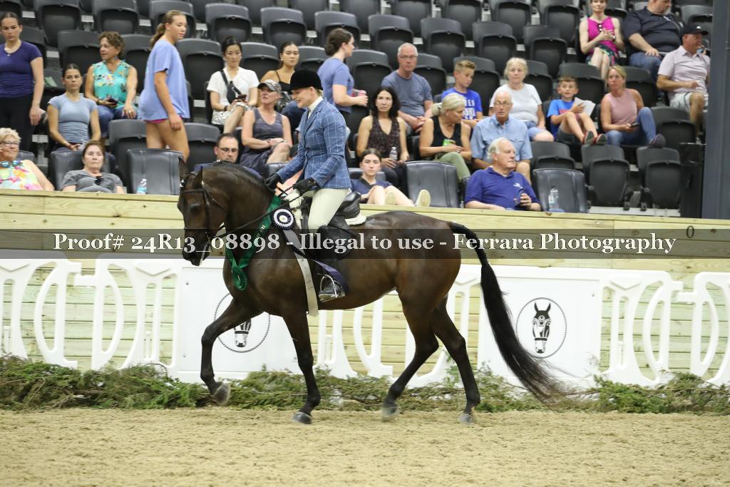 Proof 24R13_08898