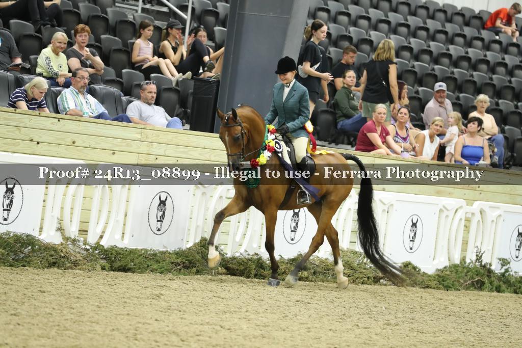 Proof 24R13_08899