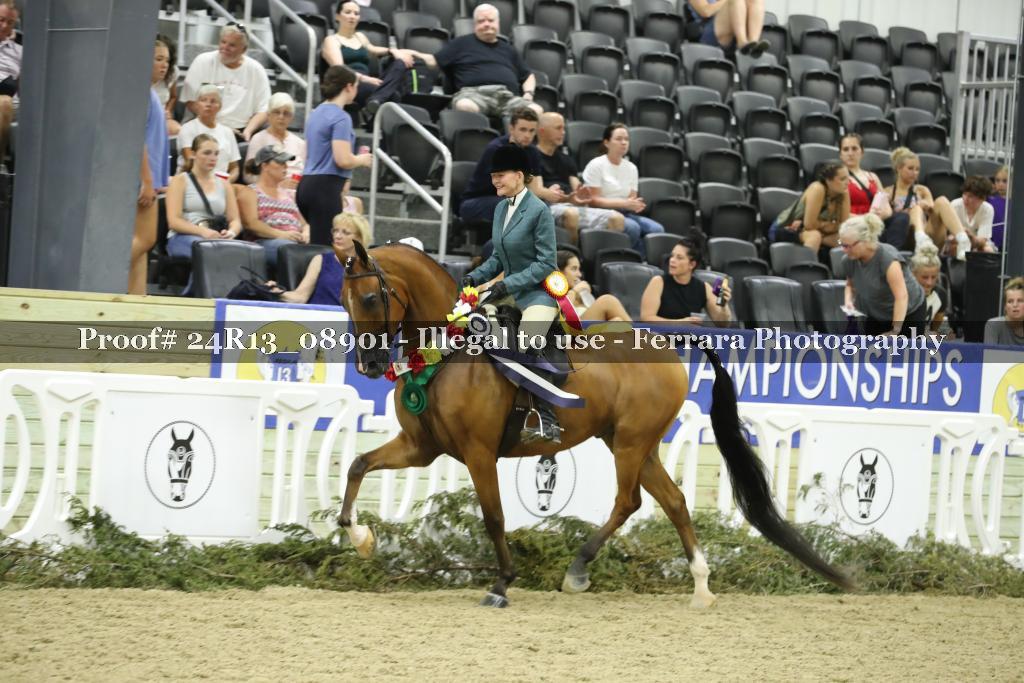 Proof 24R13_08901